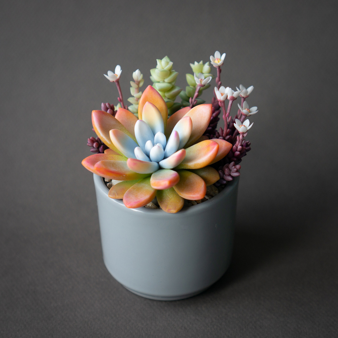 1_orange_echeveria_succulent_arrangement_jewelry_box