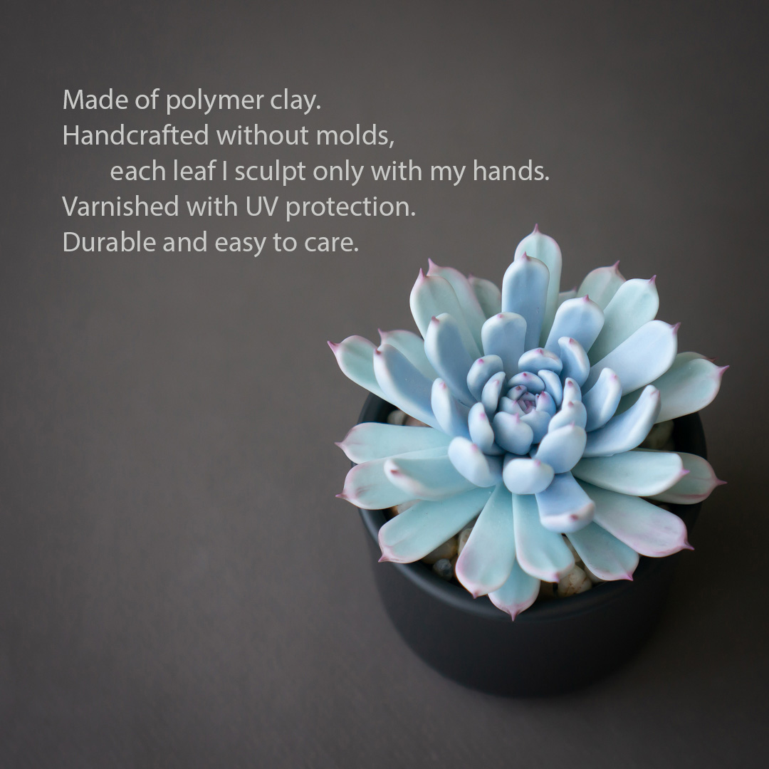 2_blue_echeveria_jewelry_box