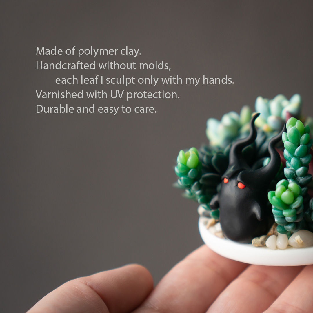 2_echeveria_romeo_rubin_succulent_arrangement_box