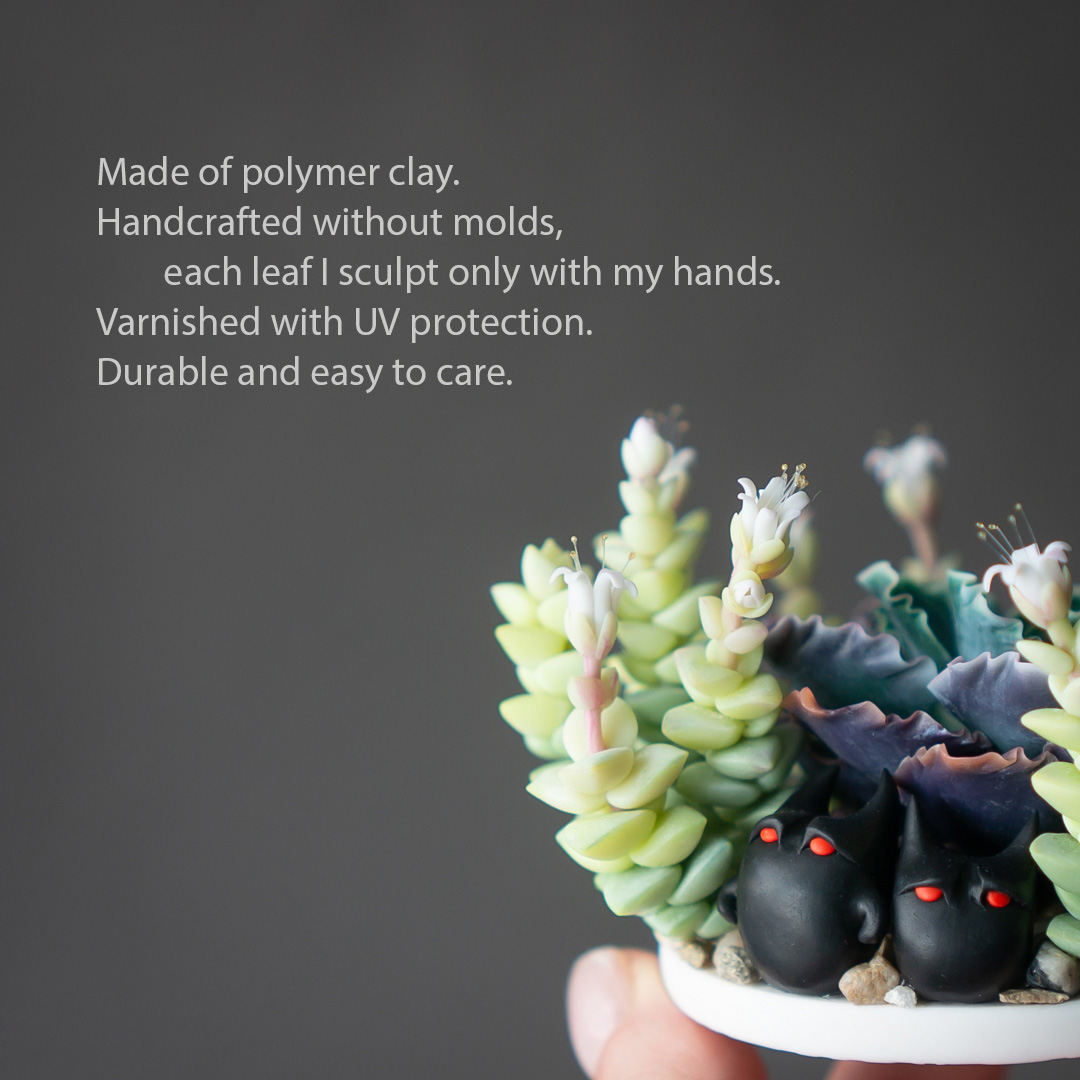 2_echeveria_shaviana_crassula_jewelry_box