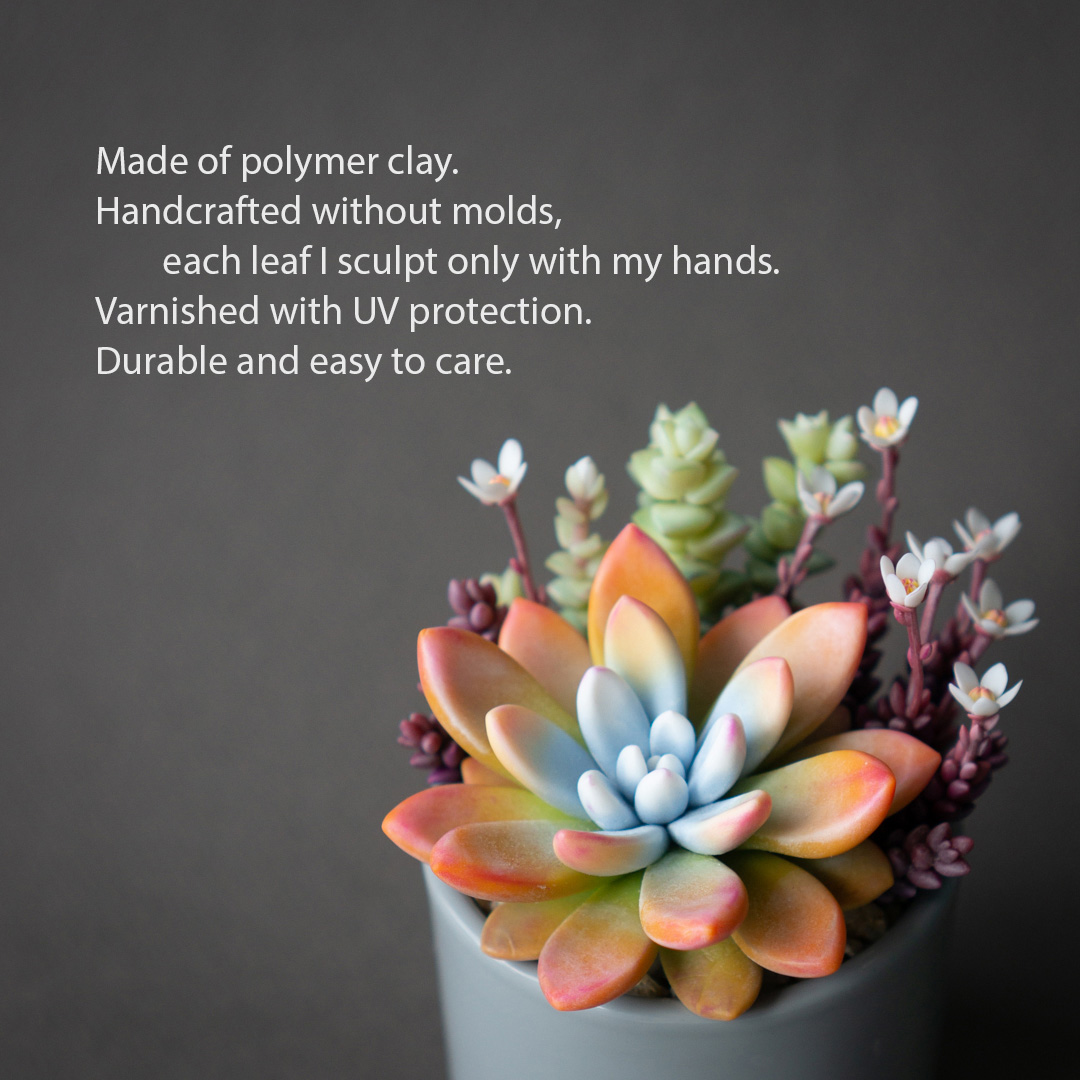 2_orange_echeveria_succulent_arrangement_jewelry_box
