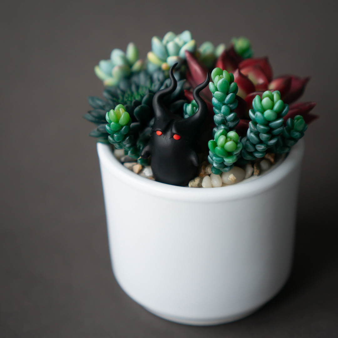 3_echeveria_romeo_rubin_succulent_arrangement_box