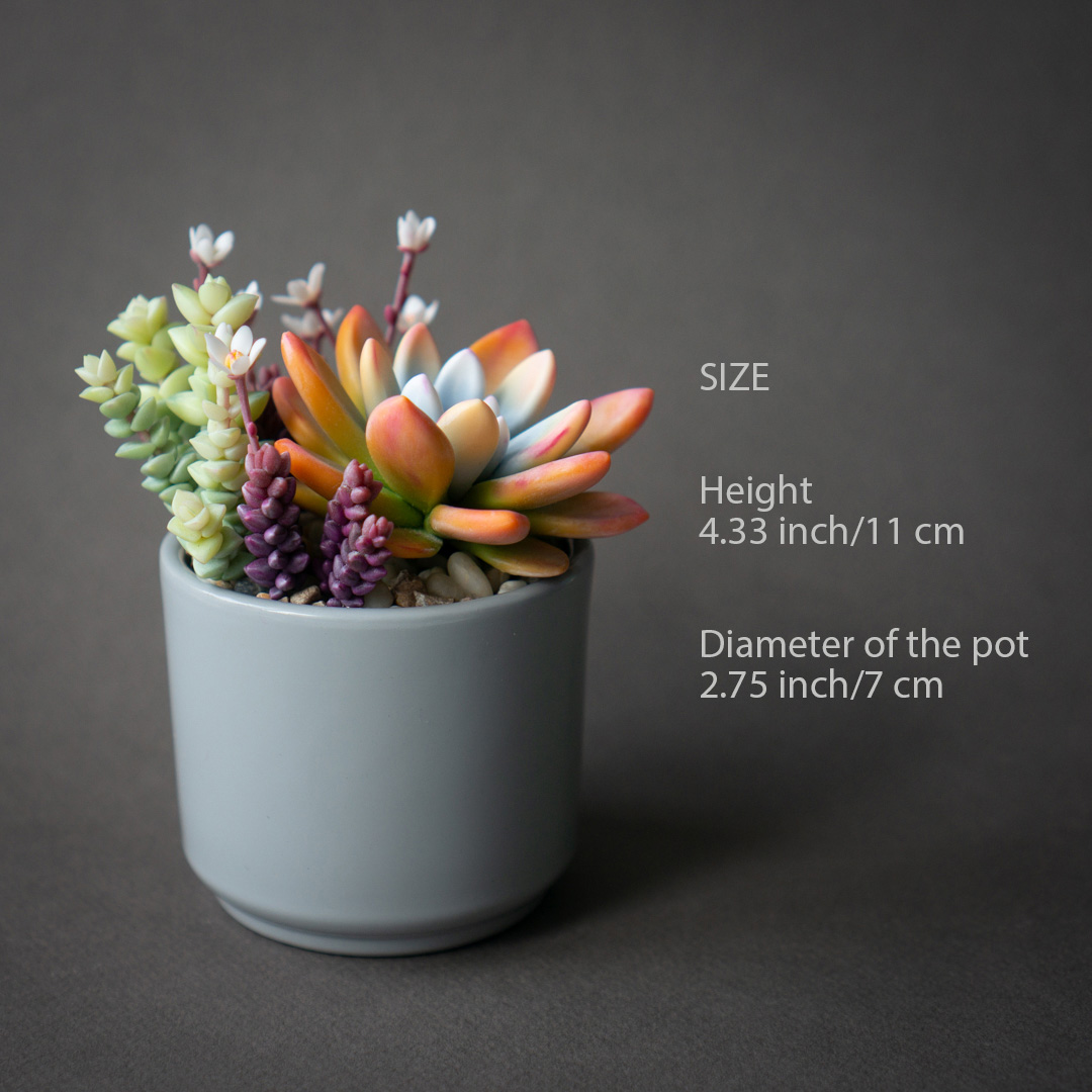 3_orange_echeveria_succulent_arrangement_jewelry_box