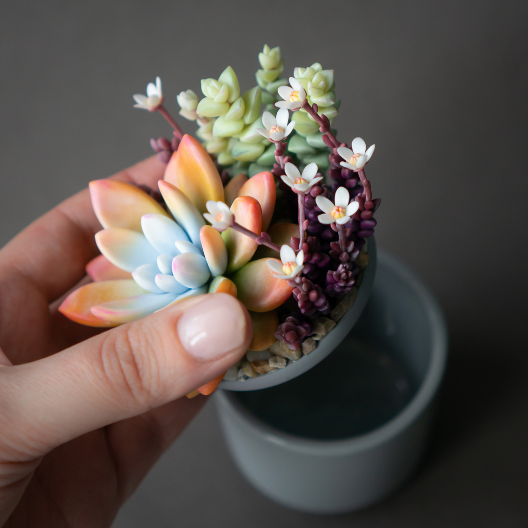 4_orange_echeveria_succulent_arrangement_jewelry_box