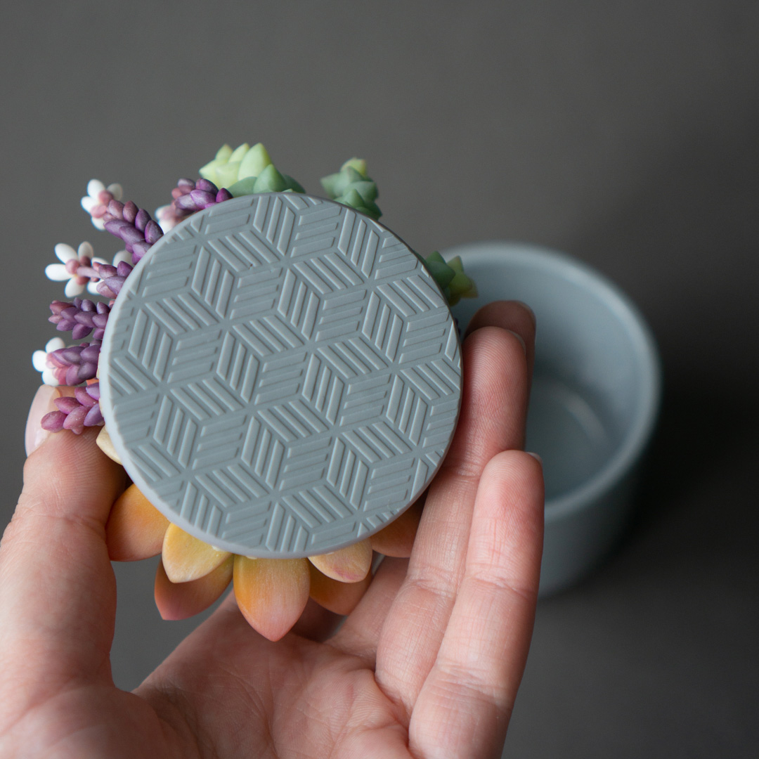 5_orange_echeveria_succulent_arrangement_jewelry_box
