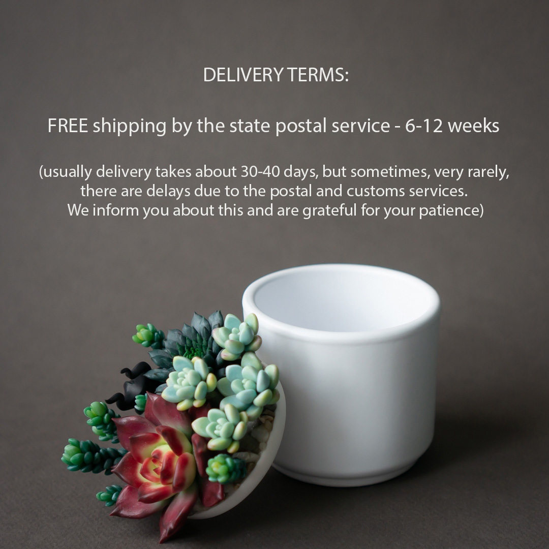 7_echeveria_romeo_rubin_succulent_arrangement_box