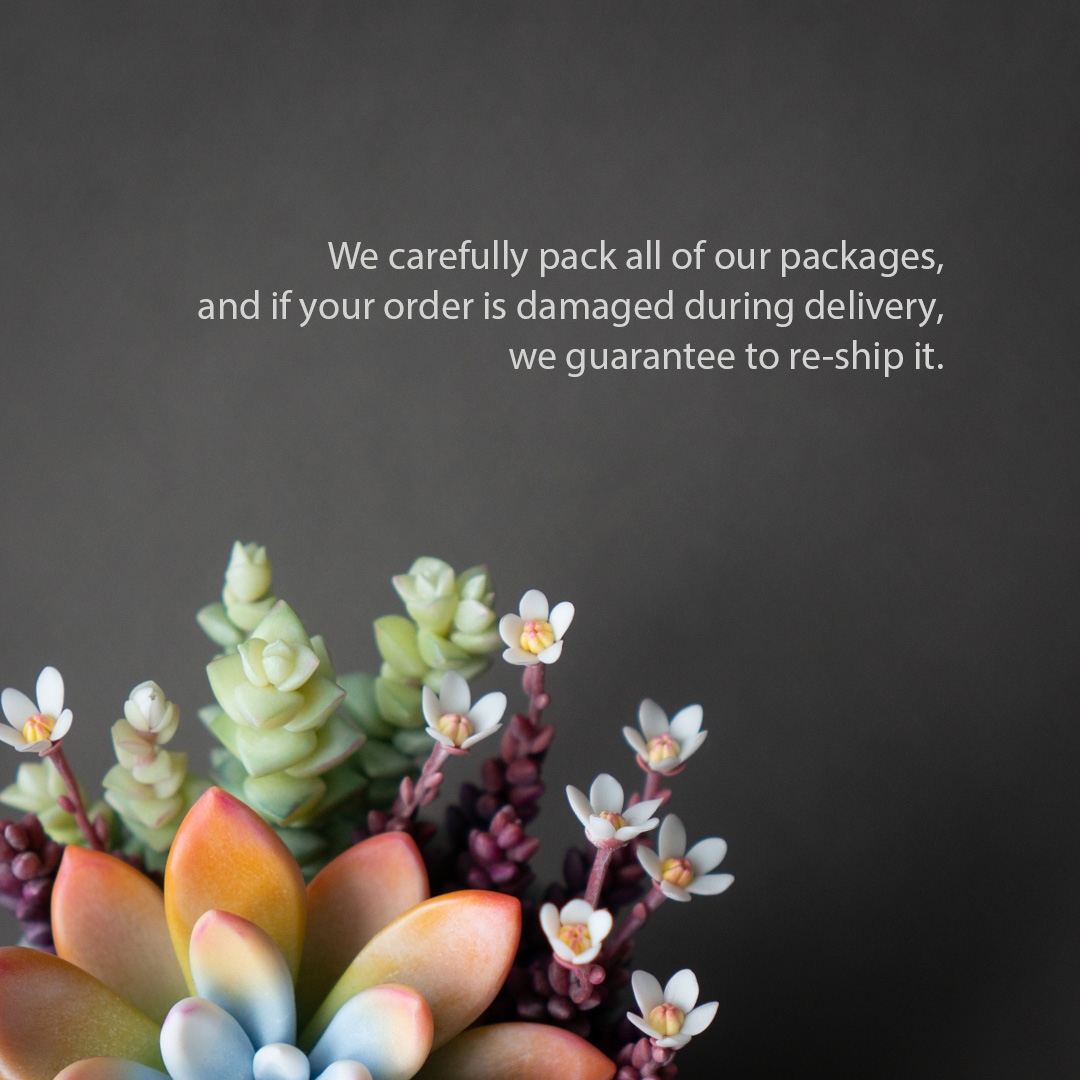 7_orange_echeveria_succulent_arrangement_jewelry_box