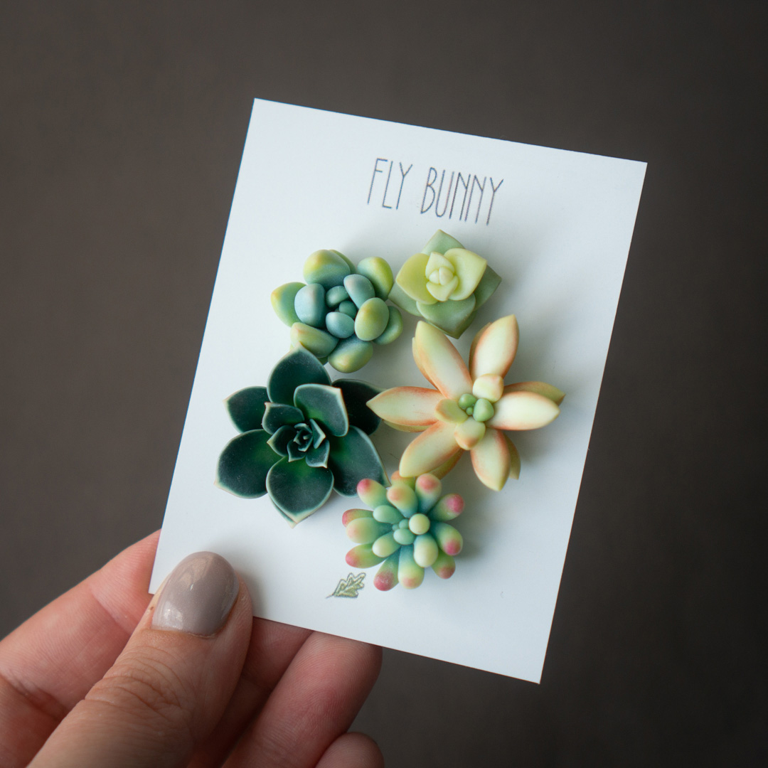1_echeveria_sedum_polymer_clay_pin_set