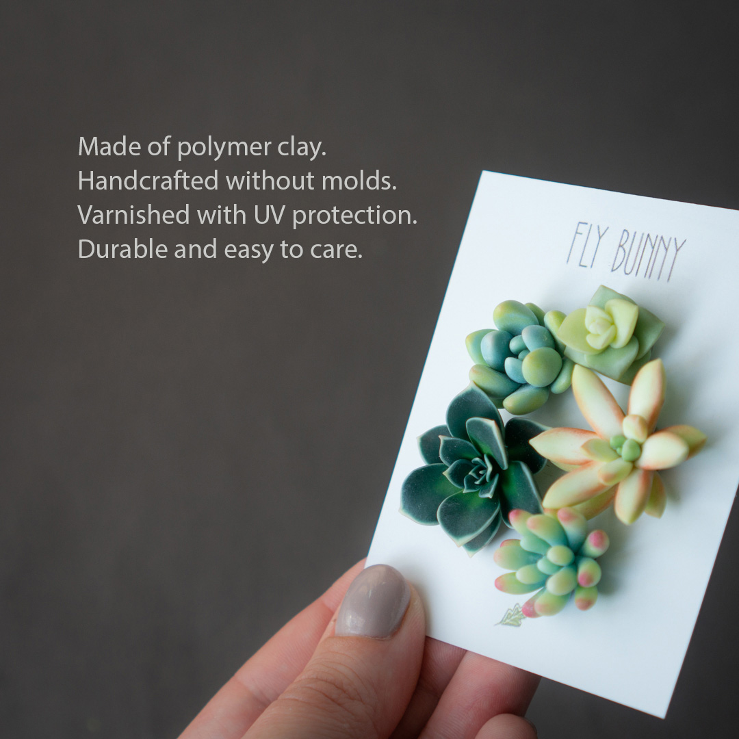 2_echeveria_sedum_polymer_clay_pin_set