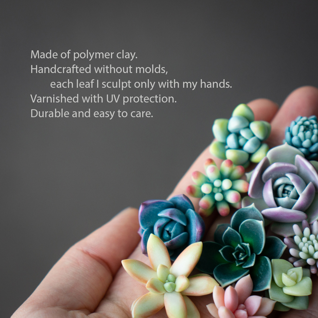 2_echeveria_sedum_polymer_clay_pin_set