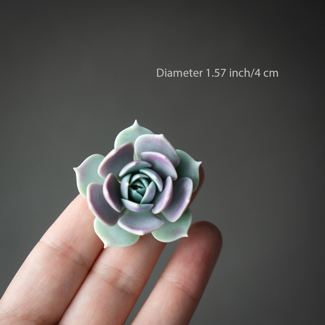 3_echeveria_lola_polymer_clay_pin