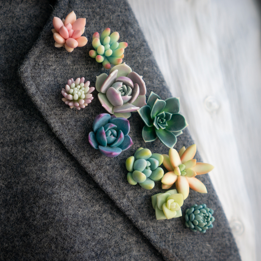 3_echeveria_sedum_polymer_clay_pin_set
