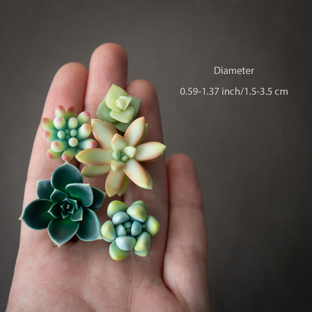 4_echeveria_sedum_polymer_clay_pin_set