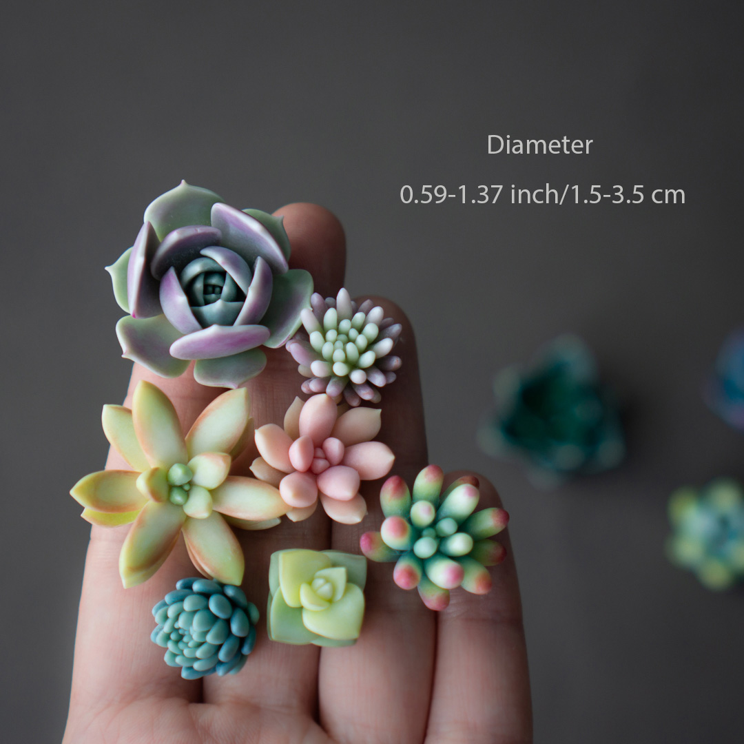 4_echeveria_sedum_polymer_clay_pin_set