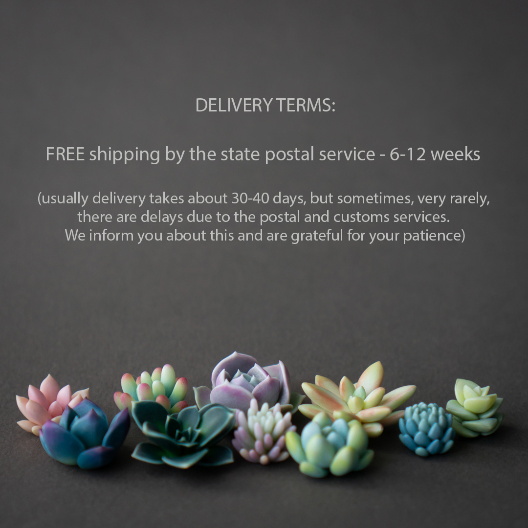 5_echeveria_sedum_polymer_clay_pin_set