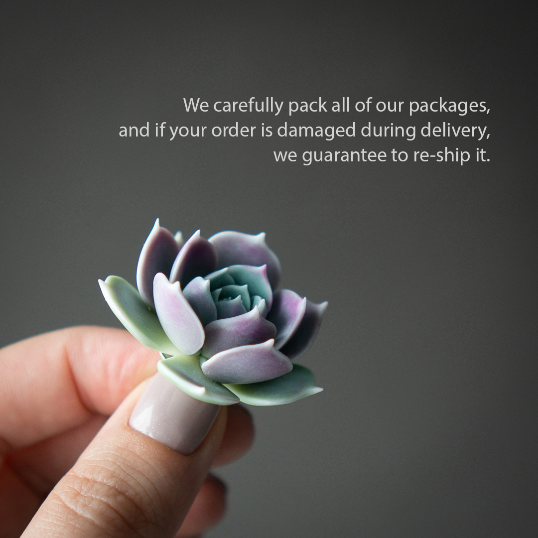 6_echeveria_lola_polymer_clay_pin