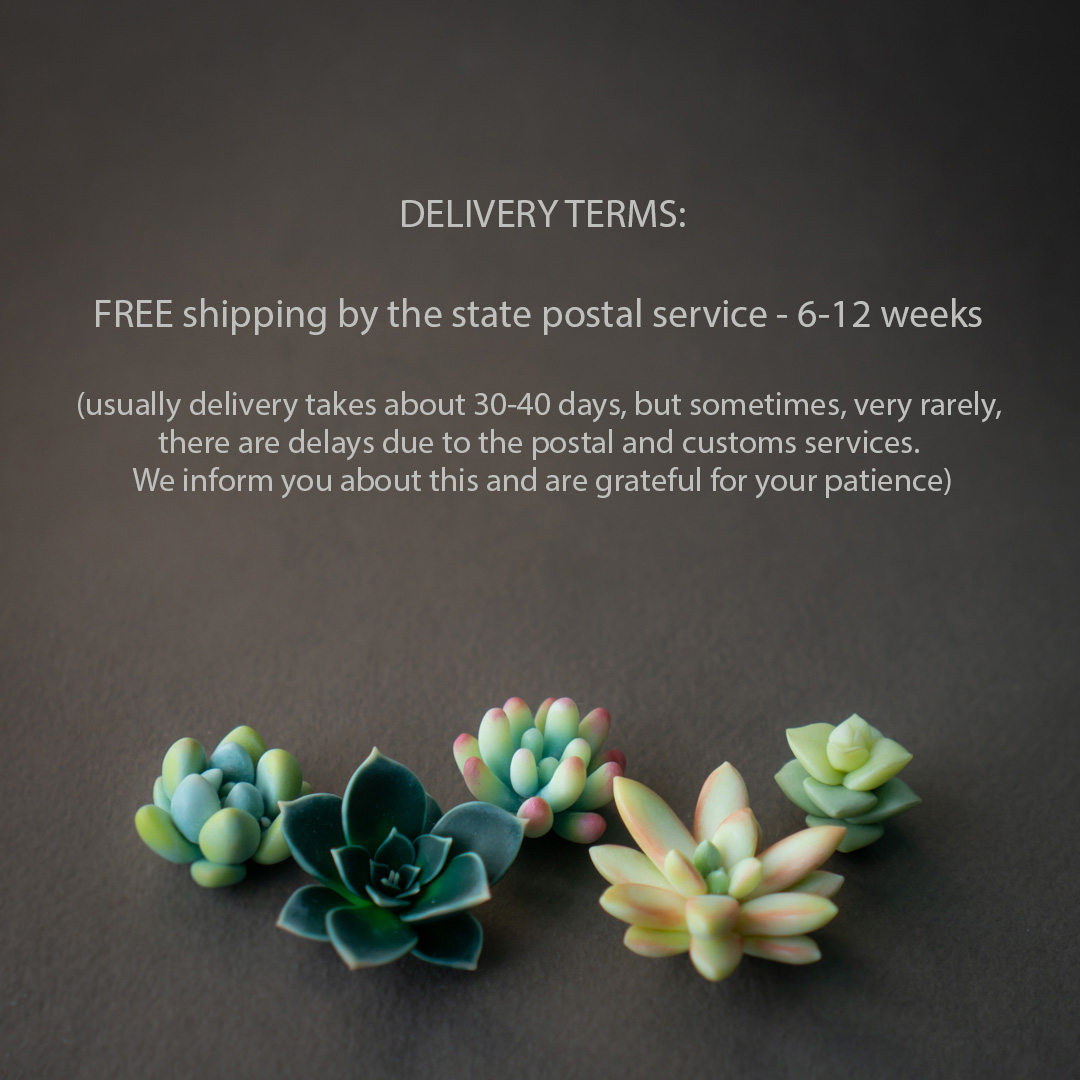 6_echeveria_sedum_polymer_clay_pin_set