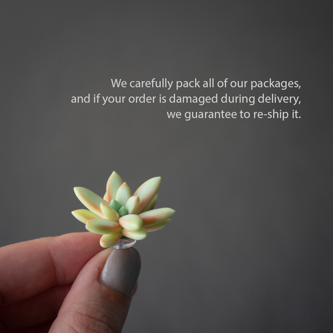 8_echeveria_sedum_polymer_clay_pin_set
