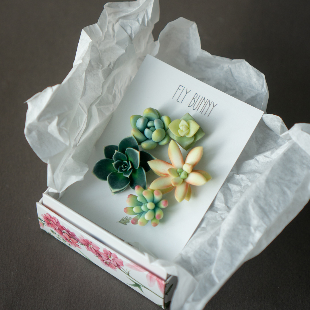 9_echeveria_sedum_polymer_clay_pin_set