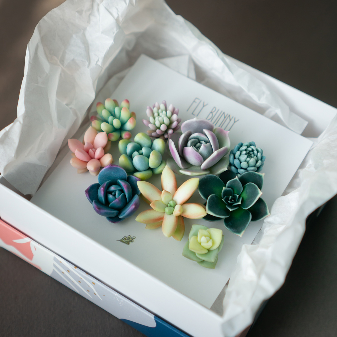 9_echeveria_sedum_polymer_clay_pin_set