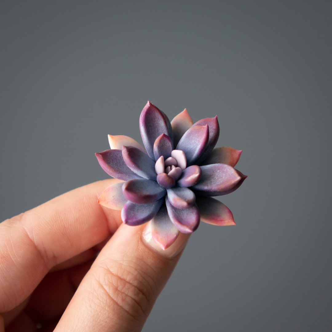 1_purple_echeveria_pin