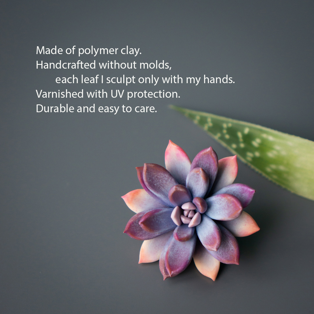 2_purple_echeveria_pin