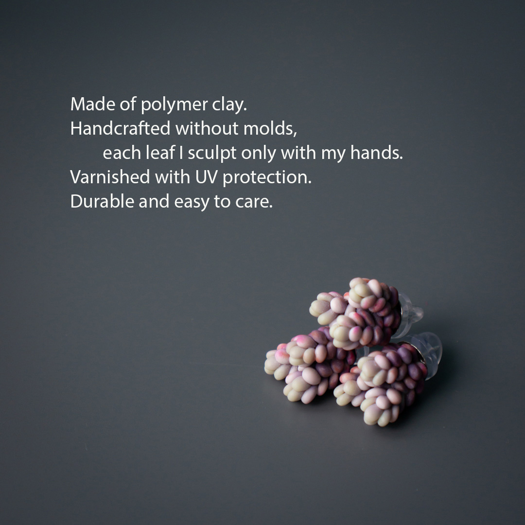 2_sedum_dassyphyllum_minor_pin