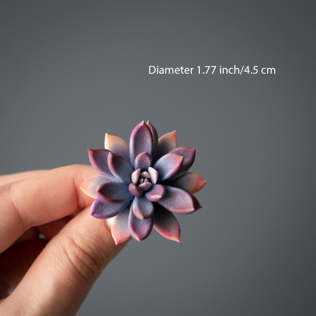 3_purple_echeveria_pin