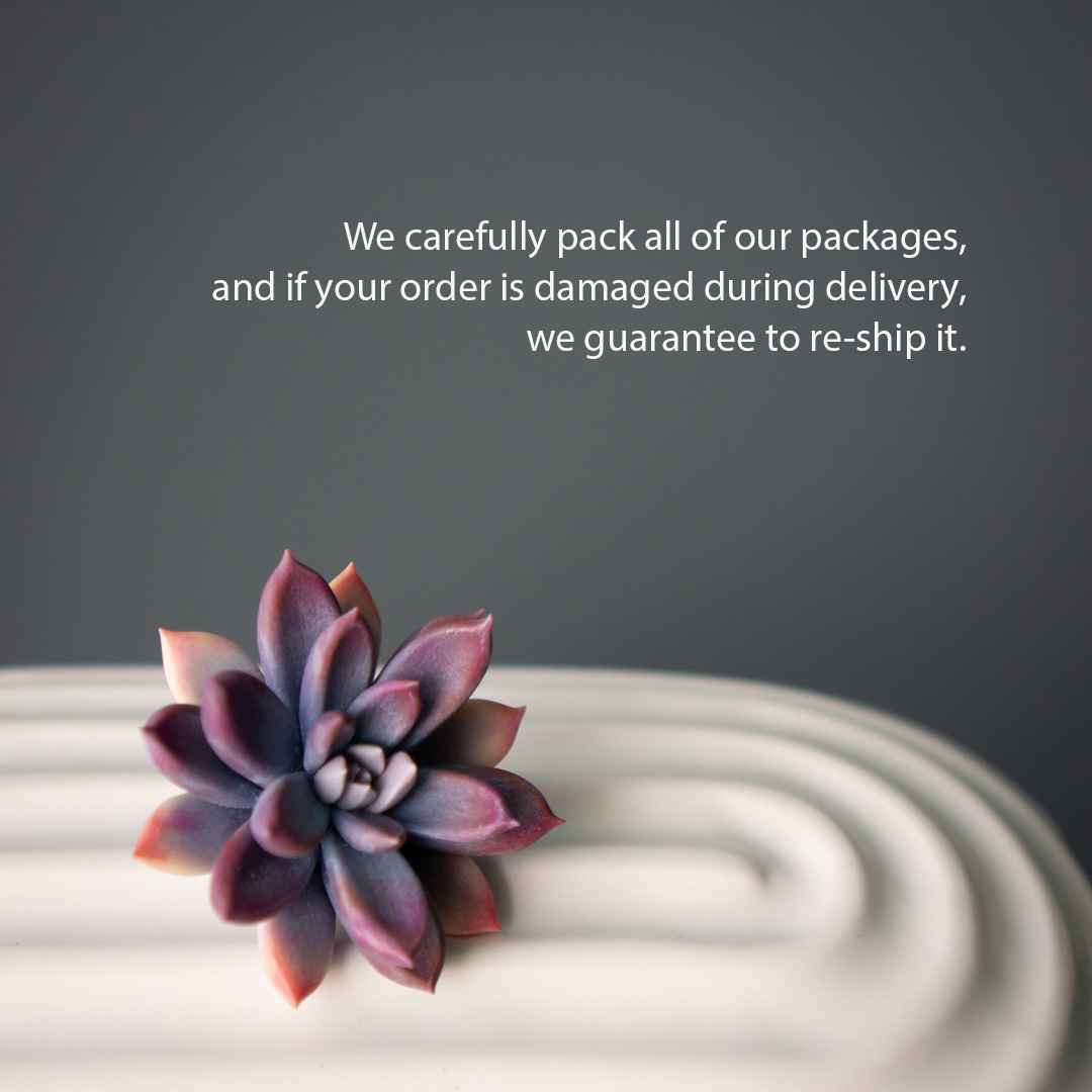 6_purple_echeveria_pin