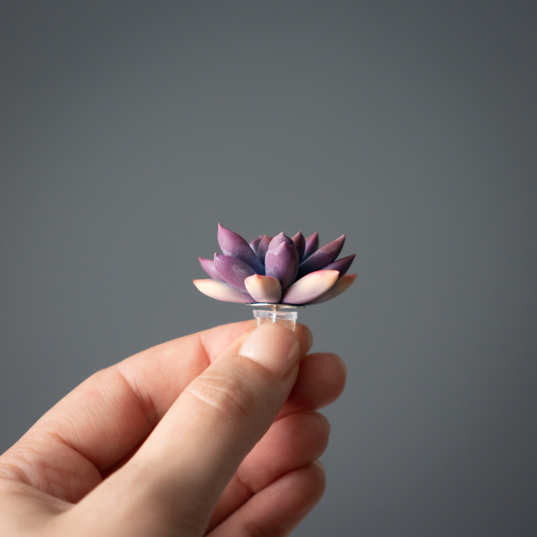 8_purple_echeveria_pin
