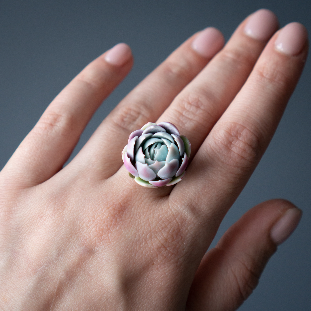 1_echeveria_raspberry_ice_ring