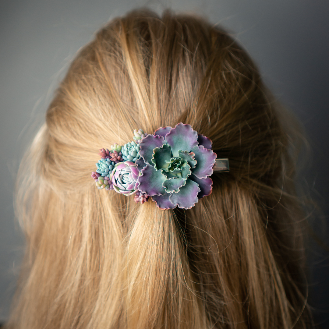 1_echeveria_shaviana_crocodile_hair_clip