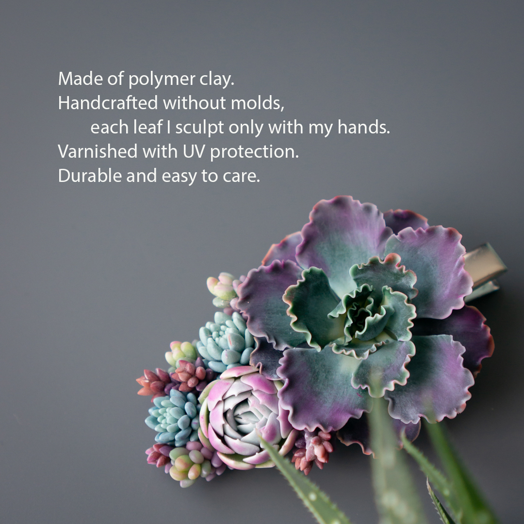 2_echeveria_shaviana_crocodile_hair_clip
