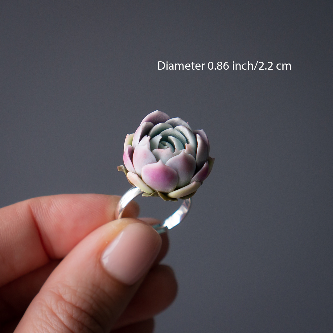 3_echeveria_raspberry_ice_ring