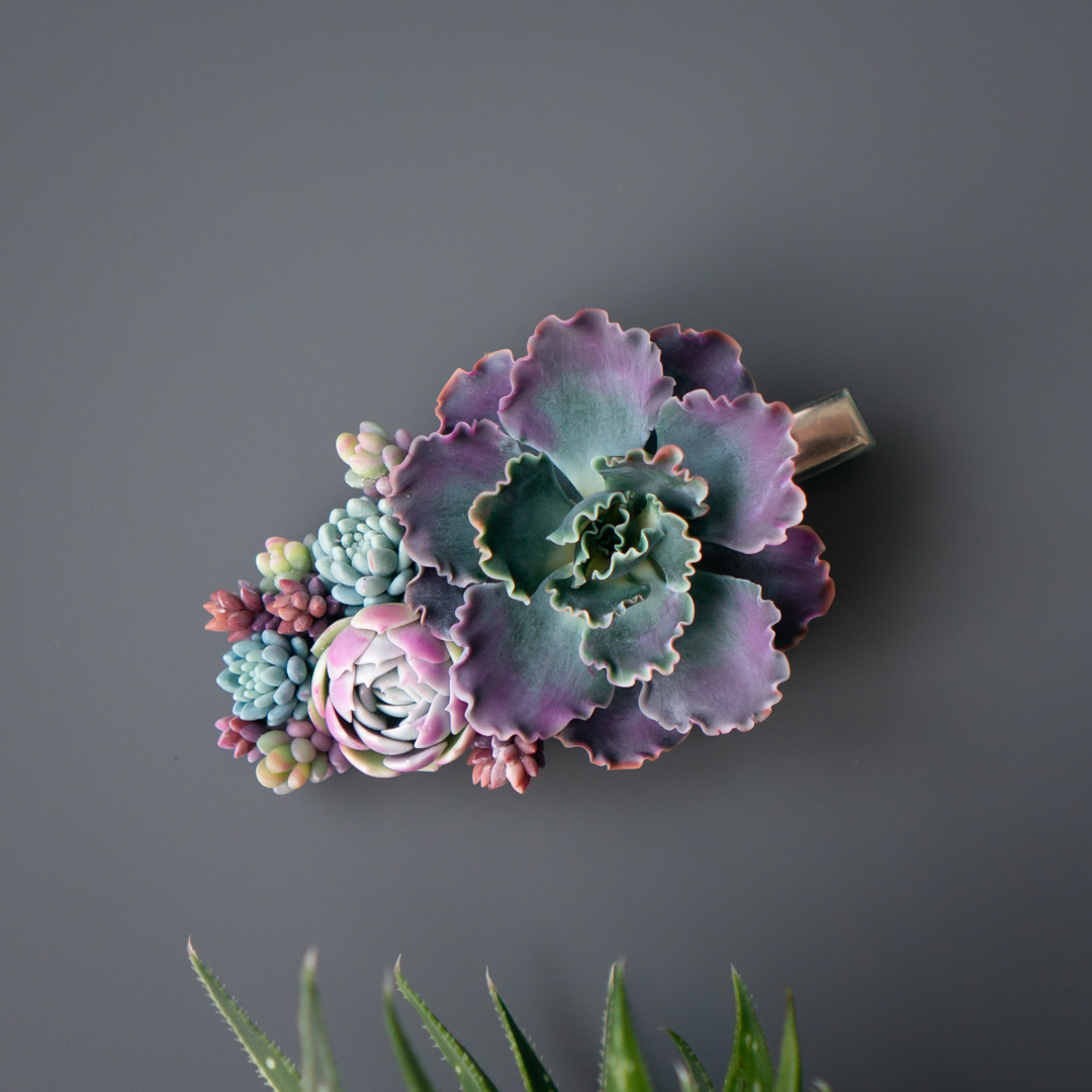 3_echeveria_shaviana_crocodile_hair_clip