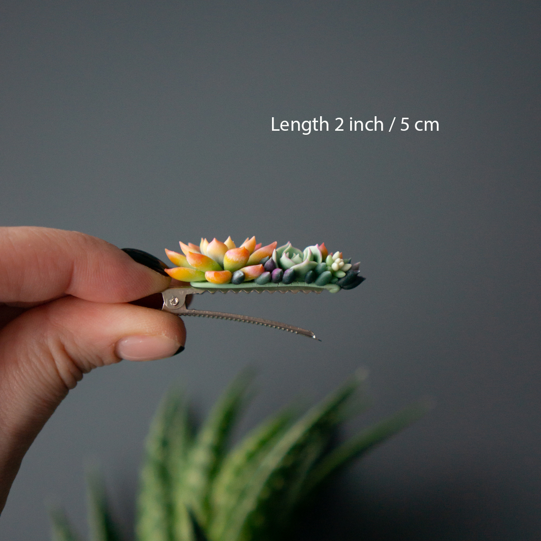 3_orange_succulent_hair_clip
