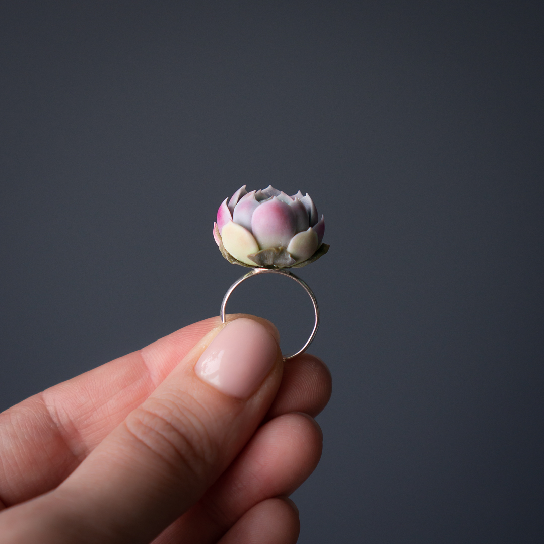 4_echeveria_raspberry_ice_ring