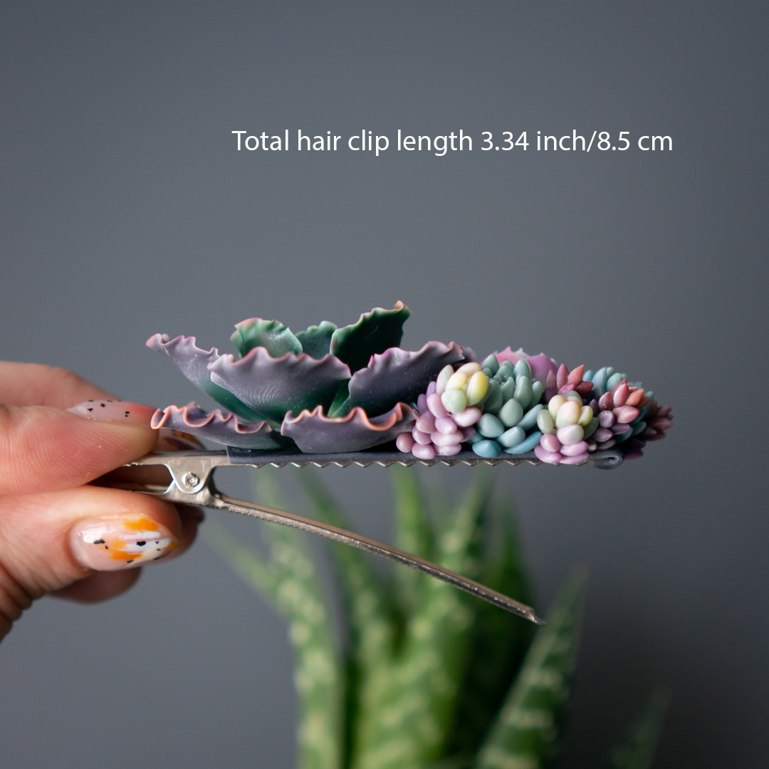 4_echeveria_shaviana_crocodile_hair_clip