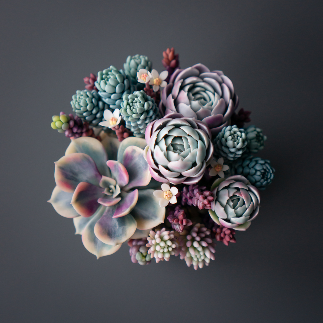 4_purple_succulent_earrings_transformers