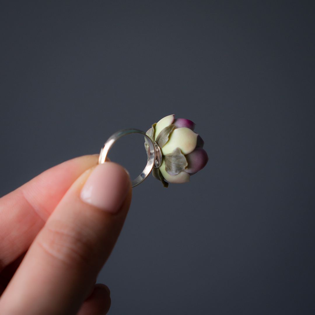 5_echeveria_raspberry_ice_ring