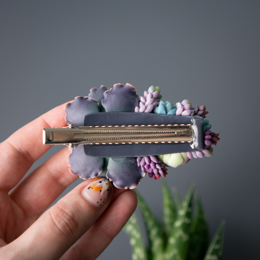 5_echeveria_shaviana_crocodile_hair_clip