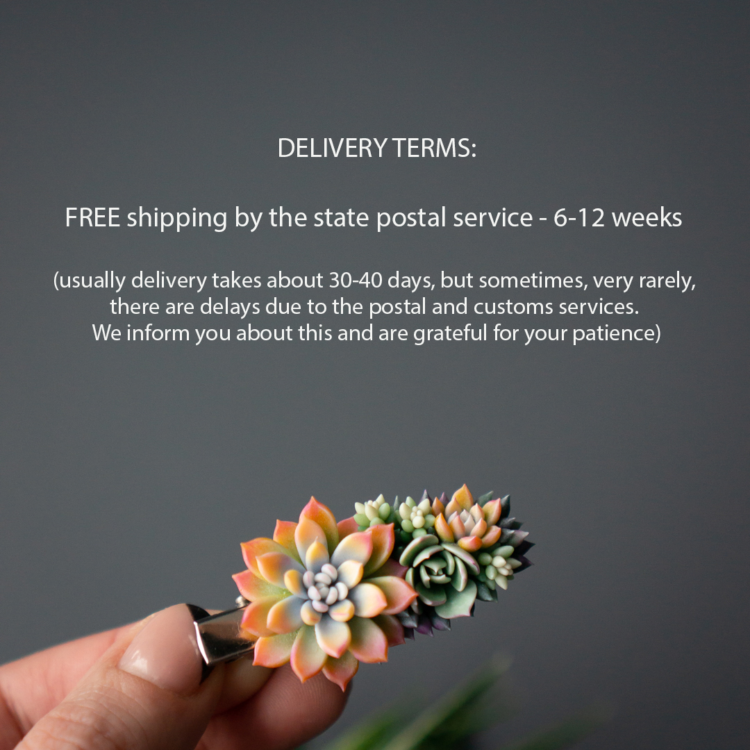 5_orange_succulent_hair_clip