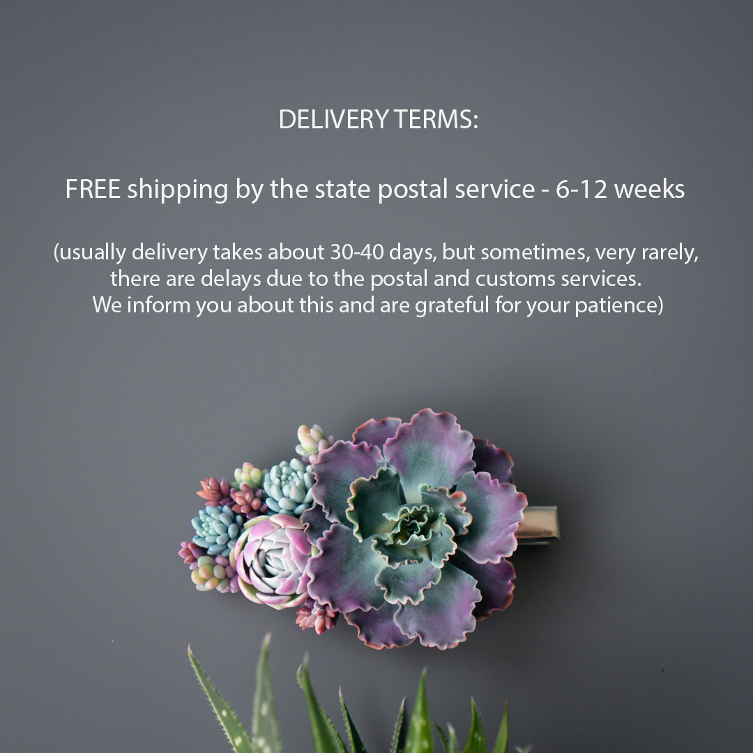 6_echeveria_shaviana_crocodile_hair_clip