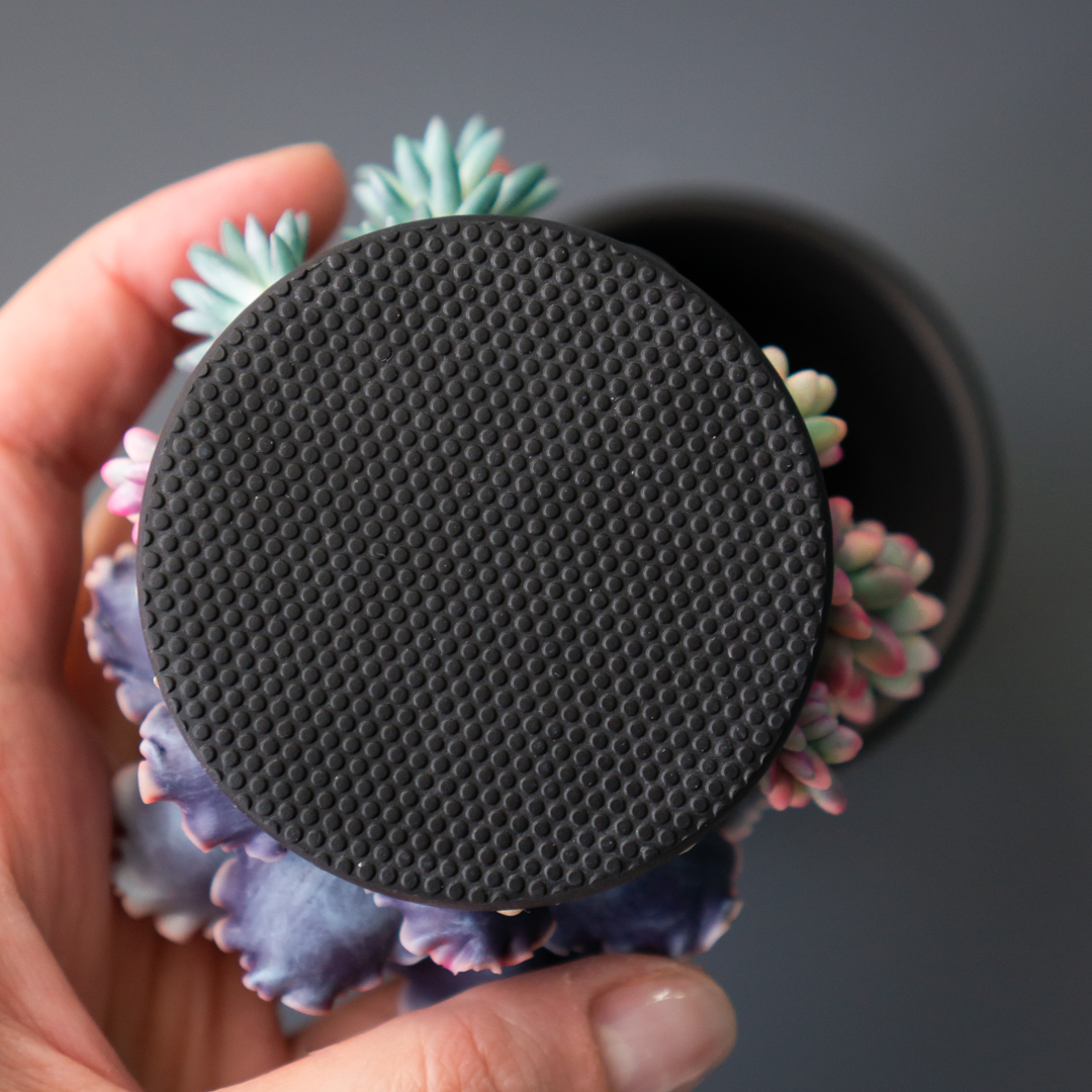 08_stash_jewelry_box_with_echeveria_shaviana