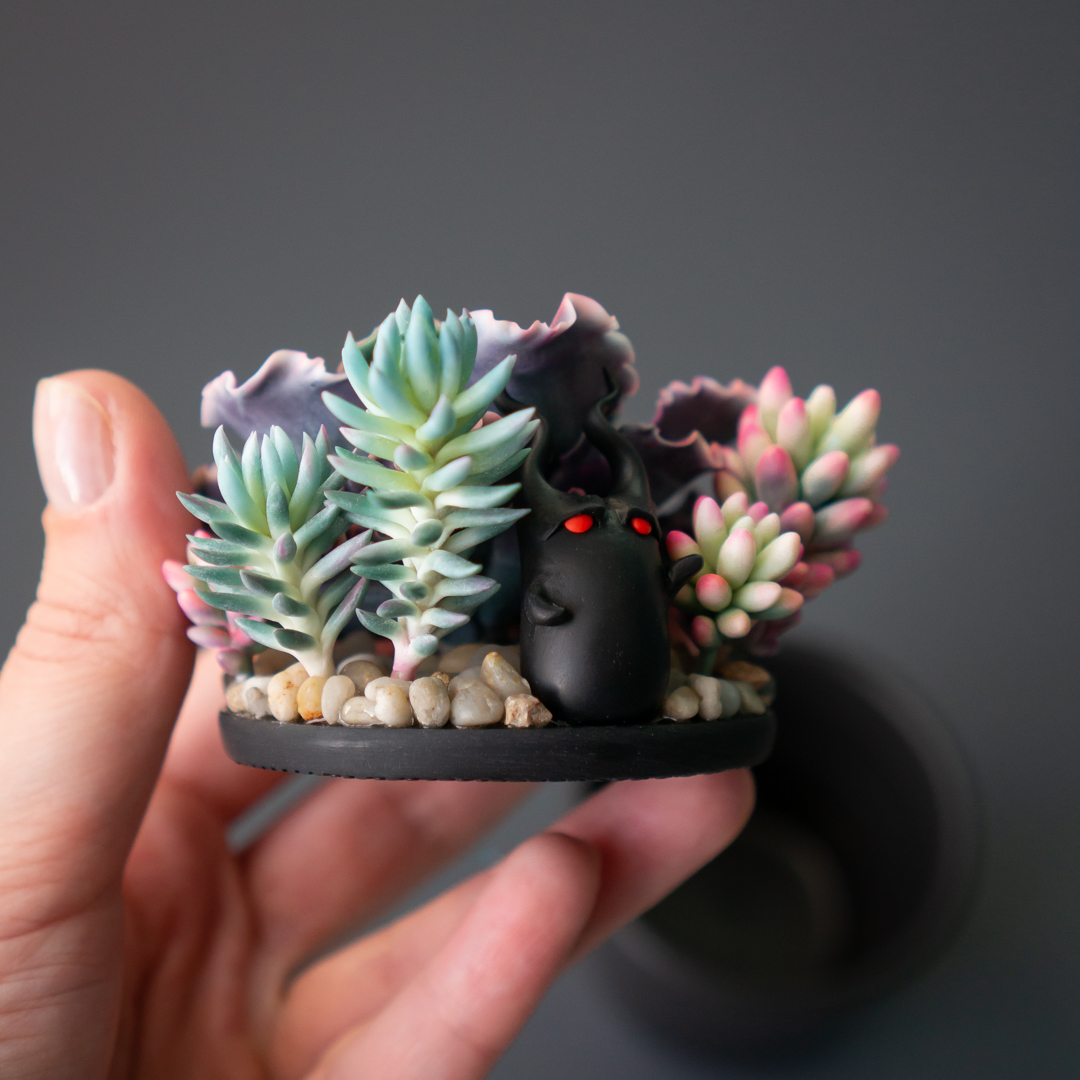 10_stash_jewelry_box_with_echeveria_shaviana