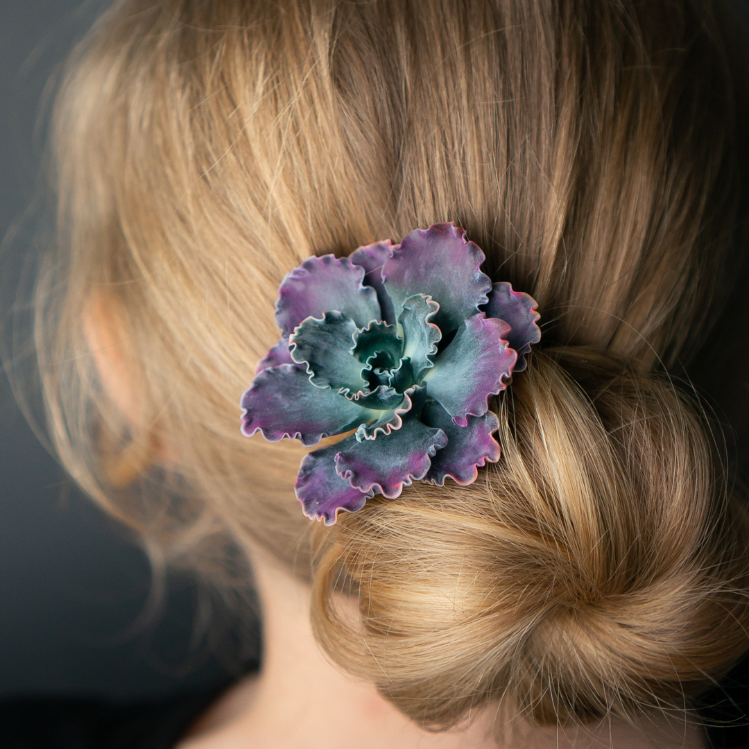 1_echeveria_shaviana_hairpin