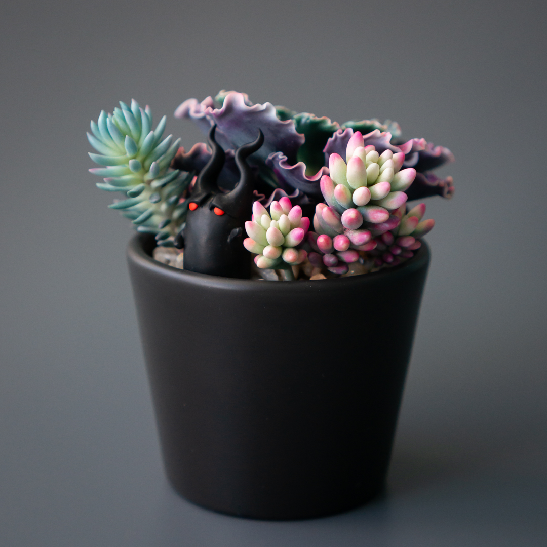 1_stash_jewelry_box_with_echeveria_shaviana