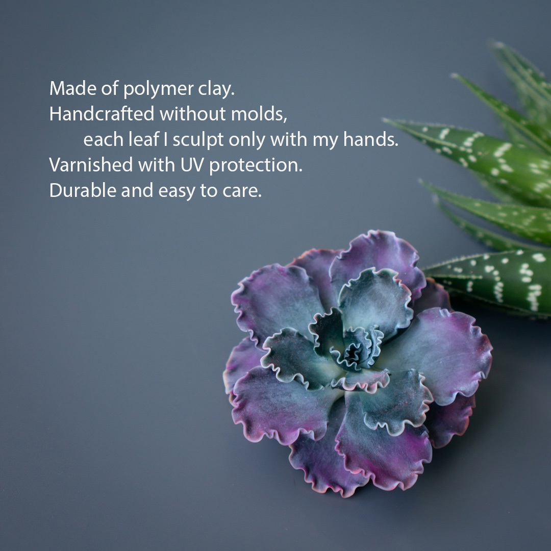 2_echeveria_shaviana_brooch