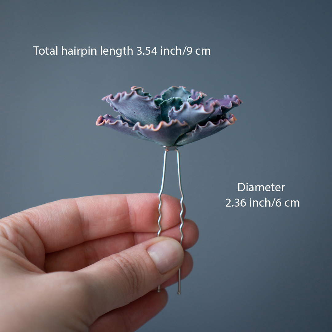 4_echeveria_shaviana_hairpin