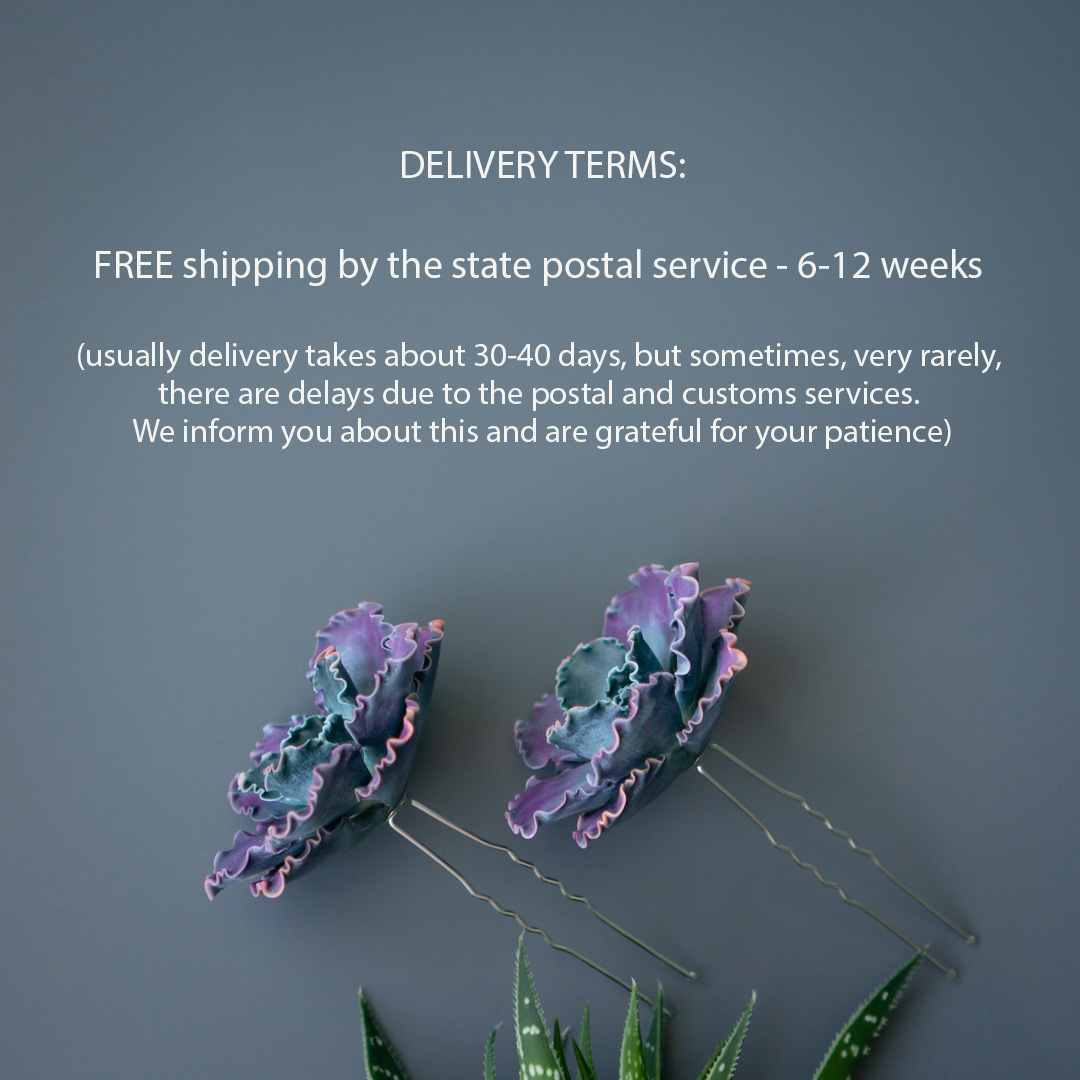 5_echeveria_shaviana_hairpin